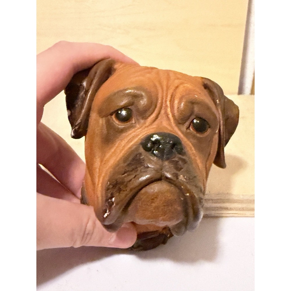 bossons chalkware heads Boxer Dog
